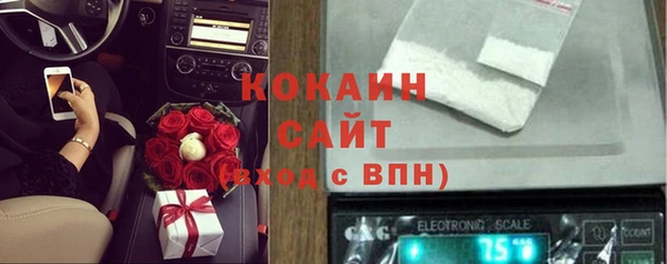 СК Алексин