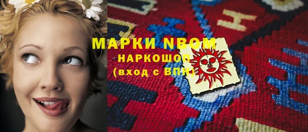 СК Алексин