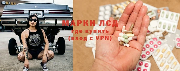 СК Алексин
