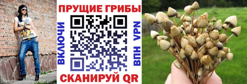 Псилоцибиновые грибы мухоморы где продают наркотики Изобильный